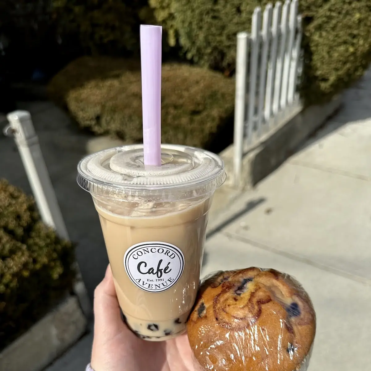 Bubble Milk Tea (20 oz)