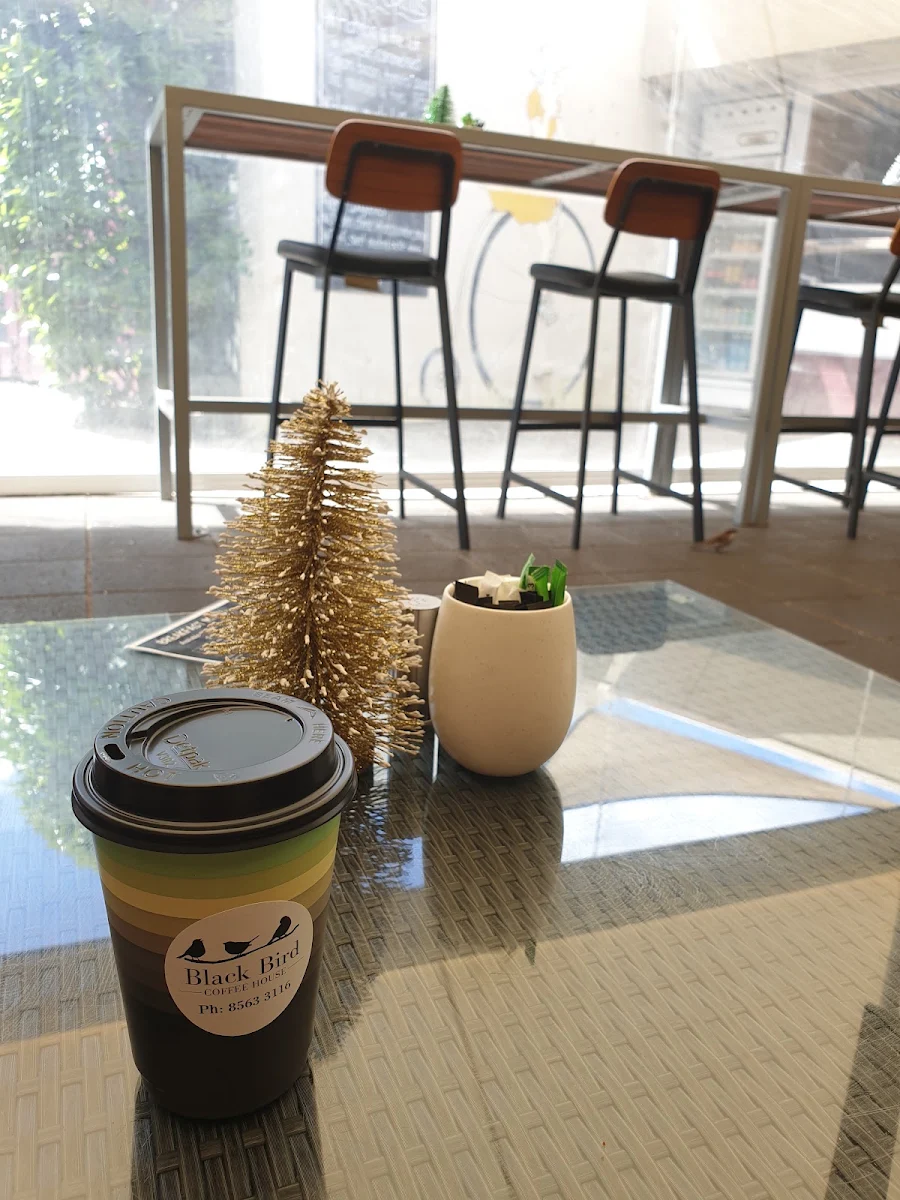 Highlights, Black Bird Coffee House