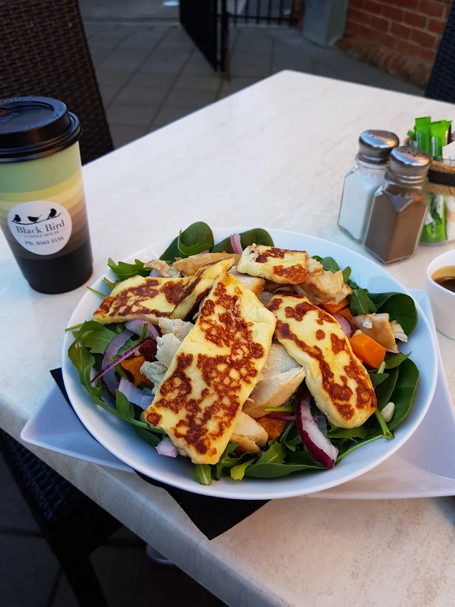 Highlights, Black Bird Coffee House