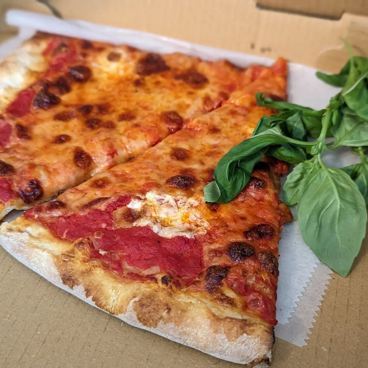 Plain Cheese Pizza
