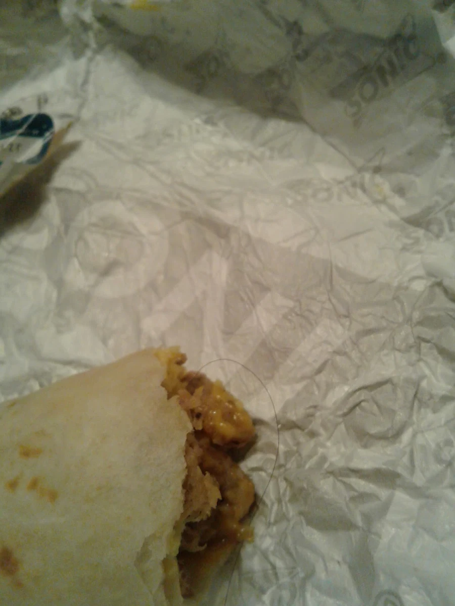 Jr Breakfast Burrito with Hair in It