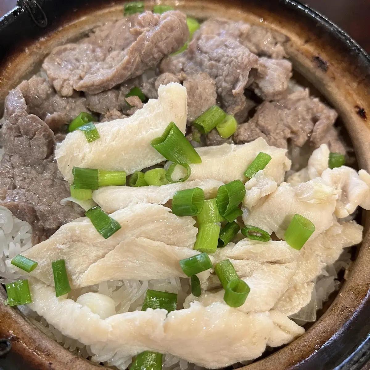 Beef and Chicken Pot