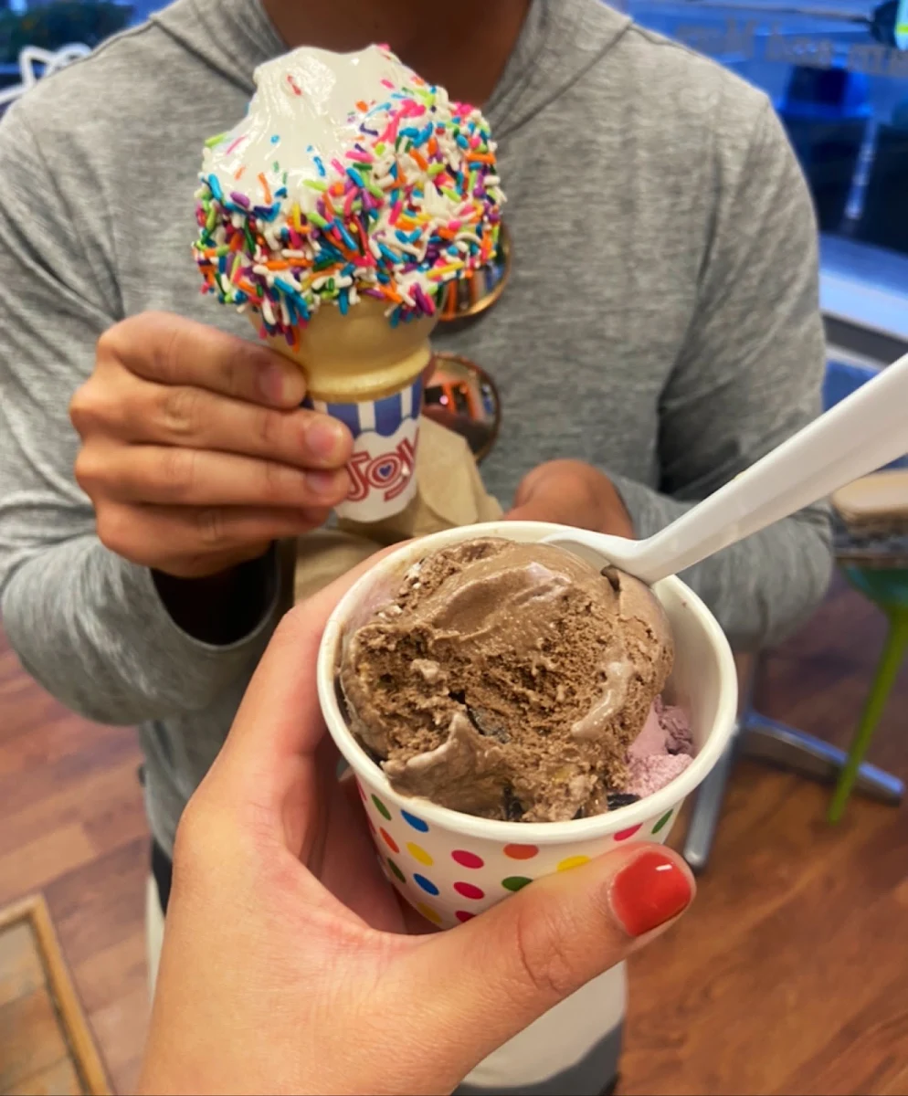 Chocolate Ice Cream