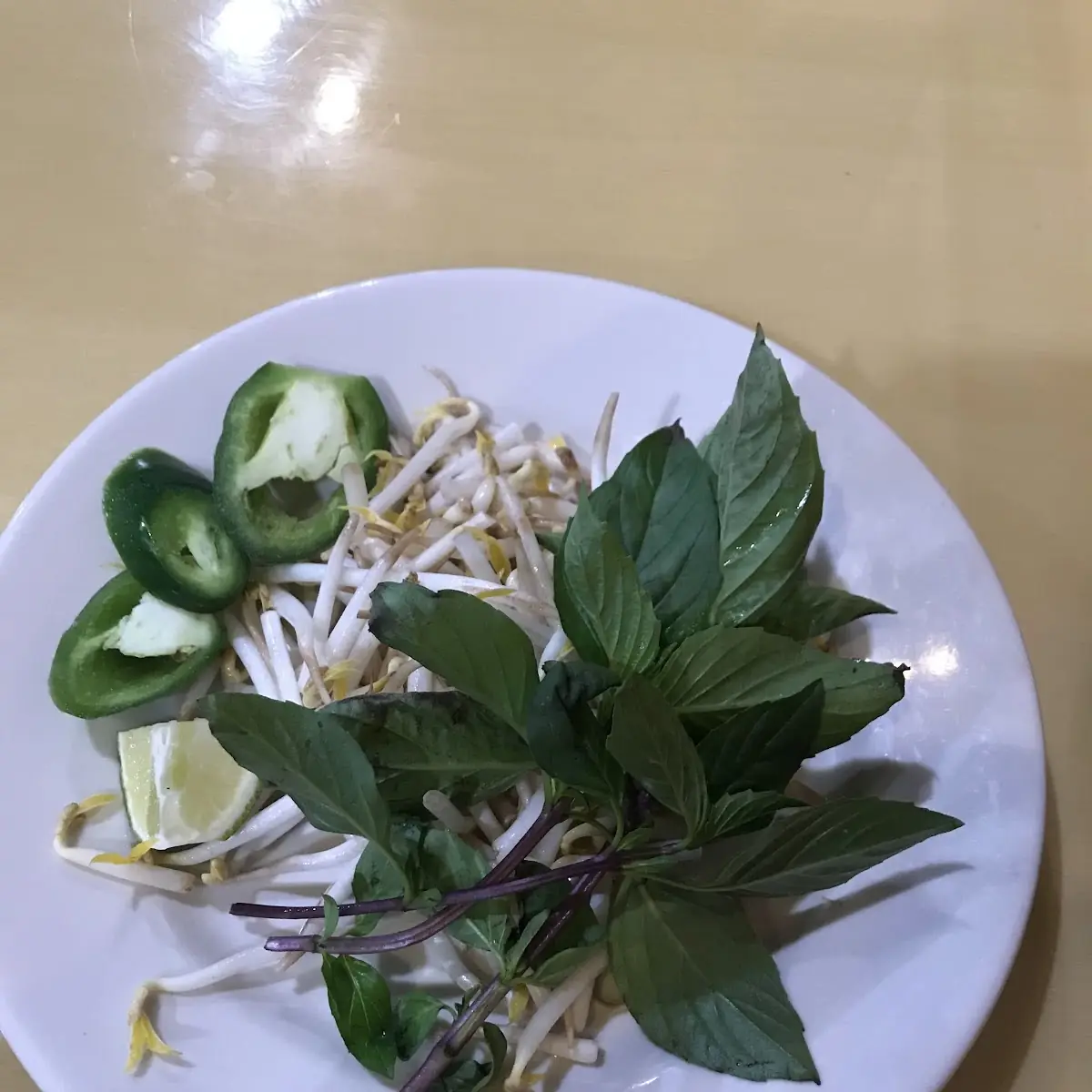 Bean Sprouts