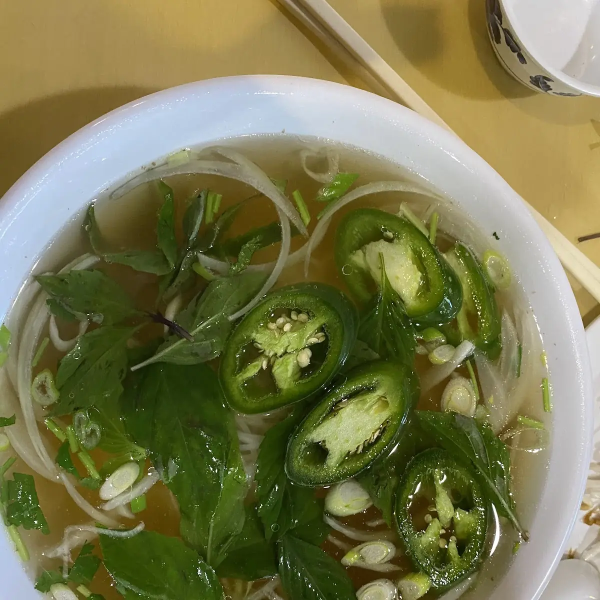 Beef Pho Without Meat