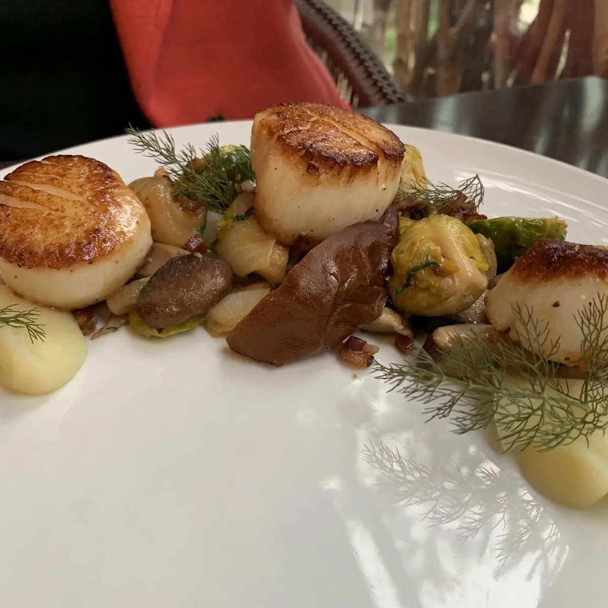 Pan Seared Day Boat Scallops