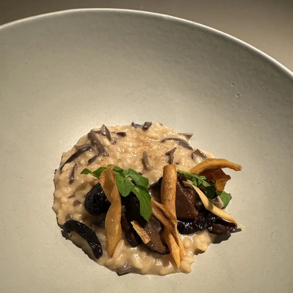 Mushroom Risotto