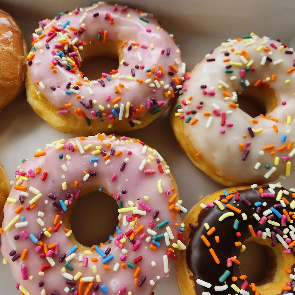 6 Pack of Assorted Donuts