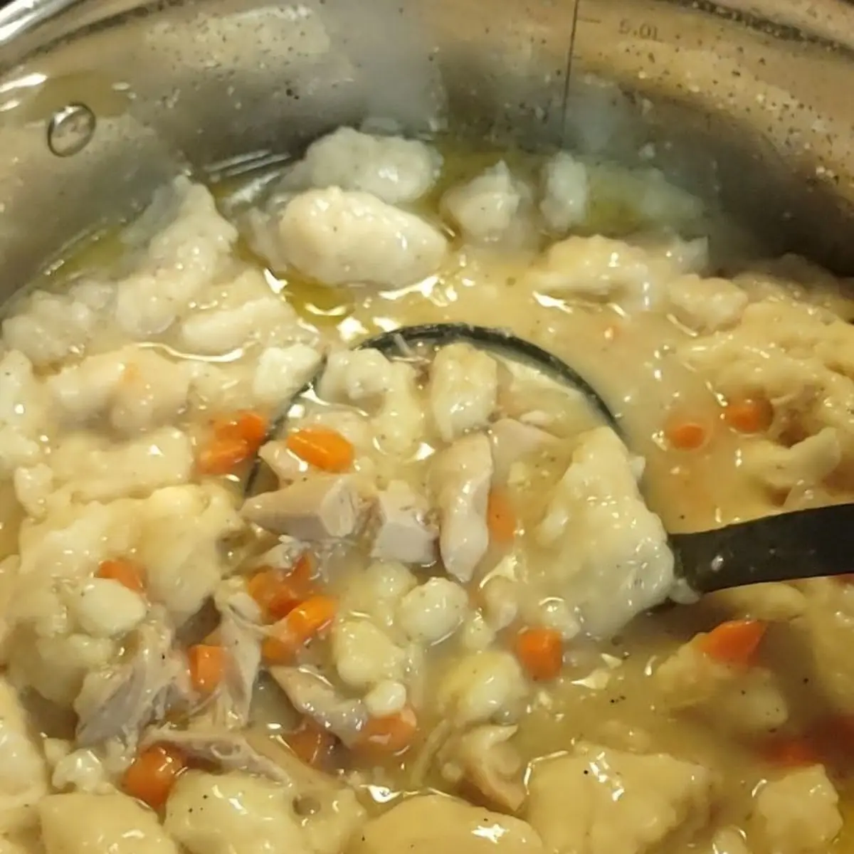 Chicken Dumpling Soup