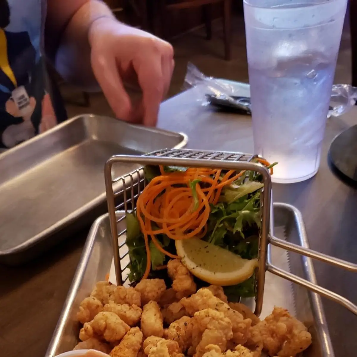 Gator Bites