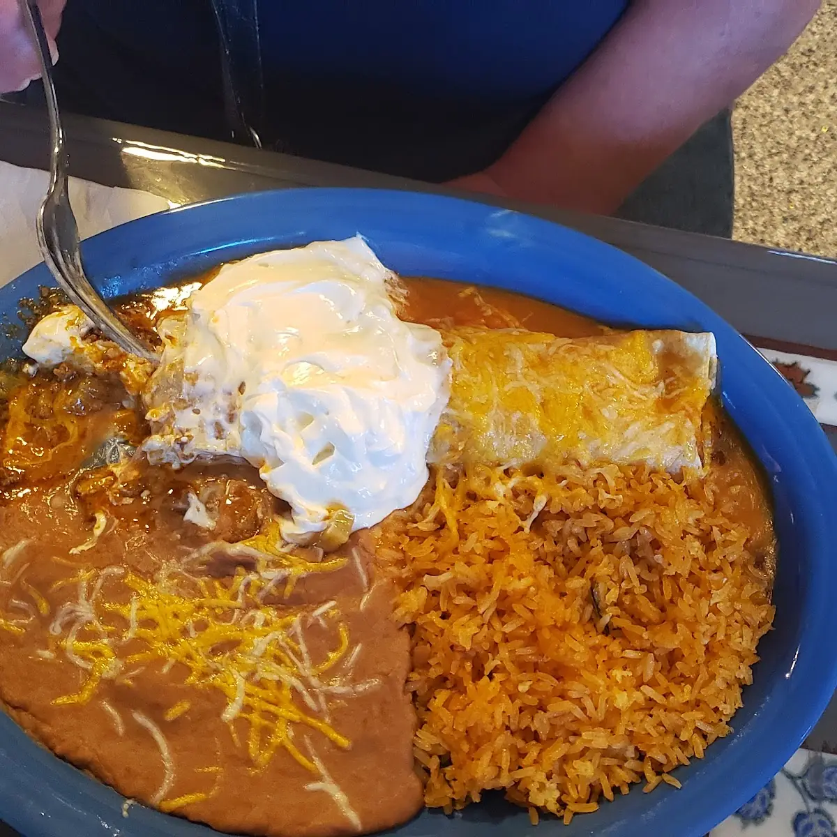Shredded Beef Enchilada