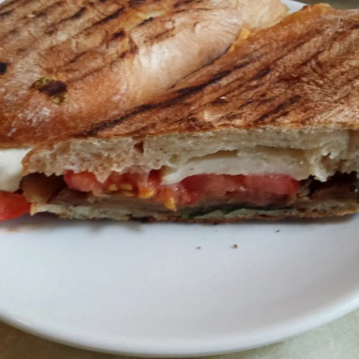 Tomato Mozzarella Panino