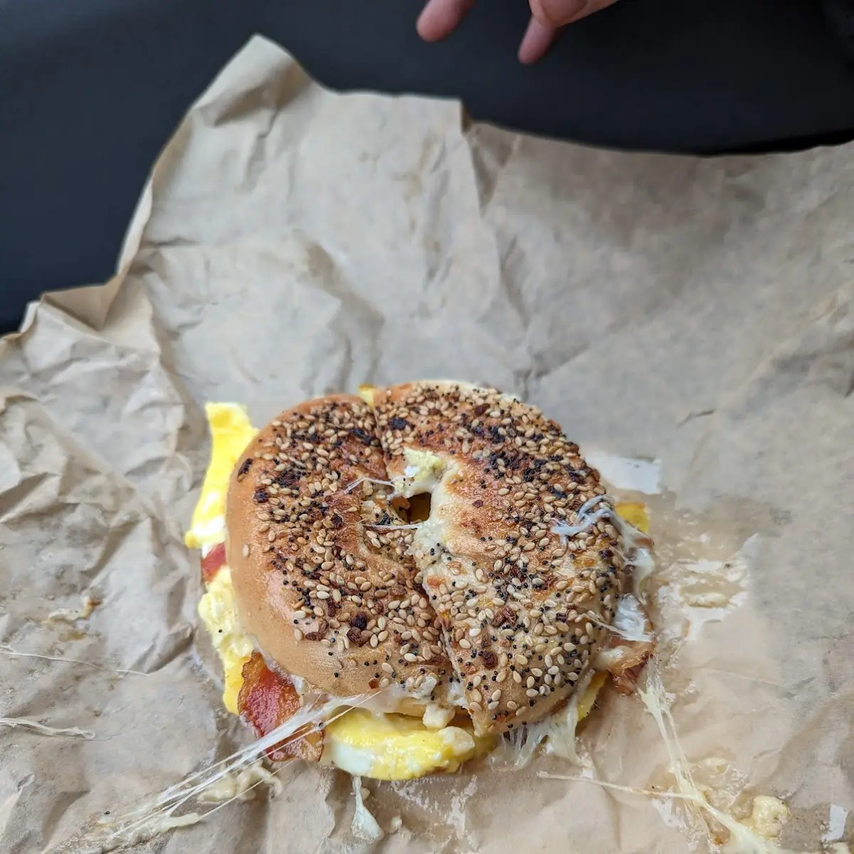 Everything Bagel Sandwich