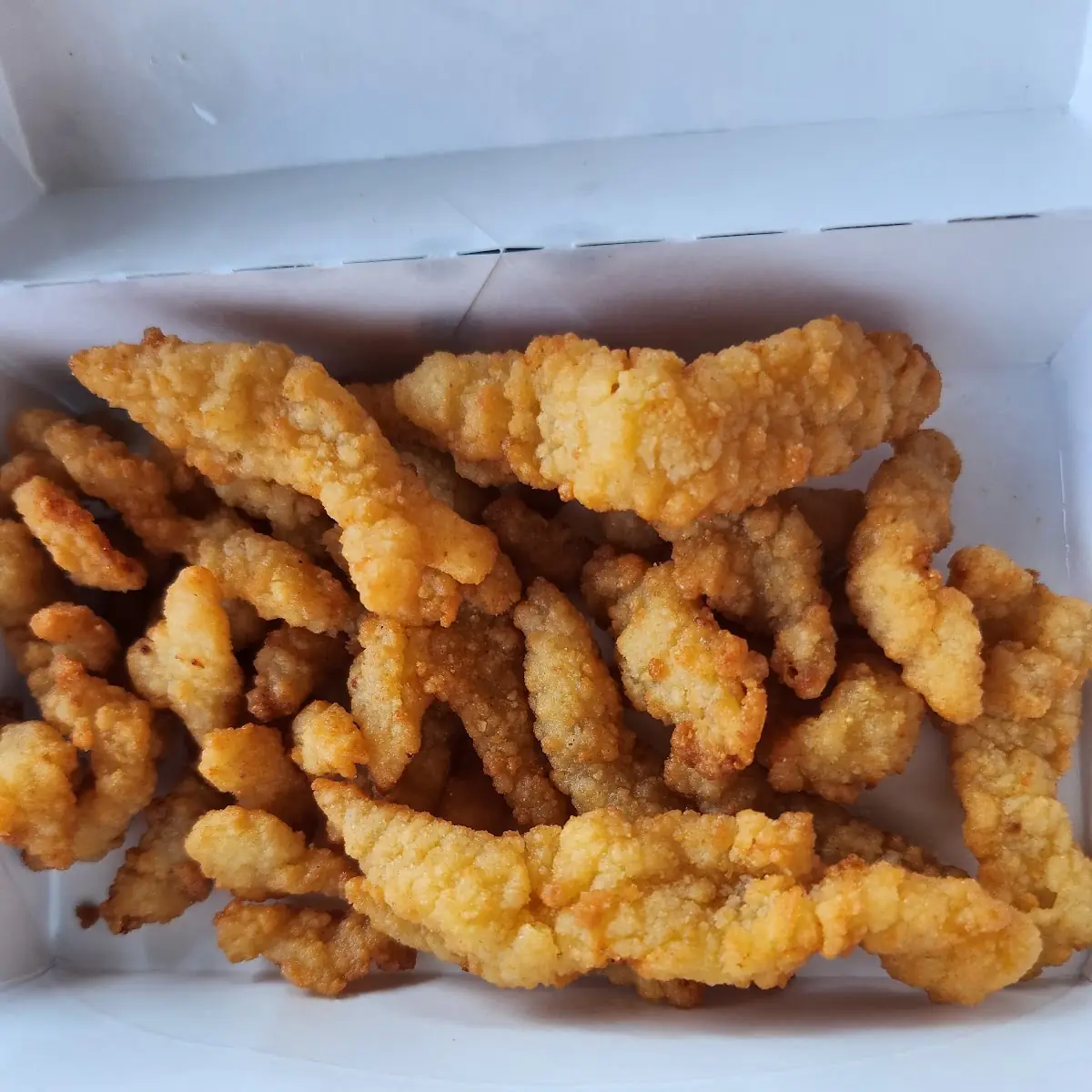 Supposed to Be Fried Clams