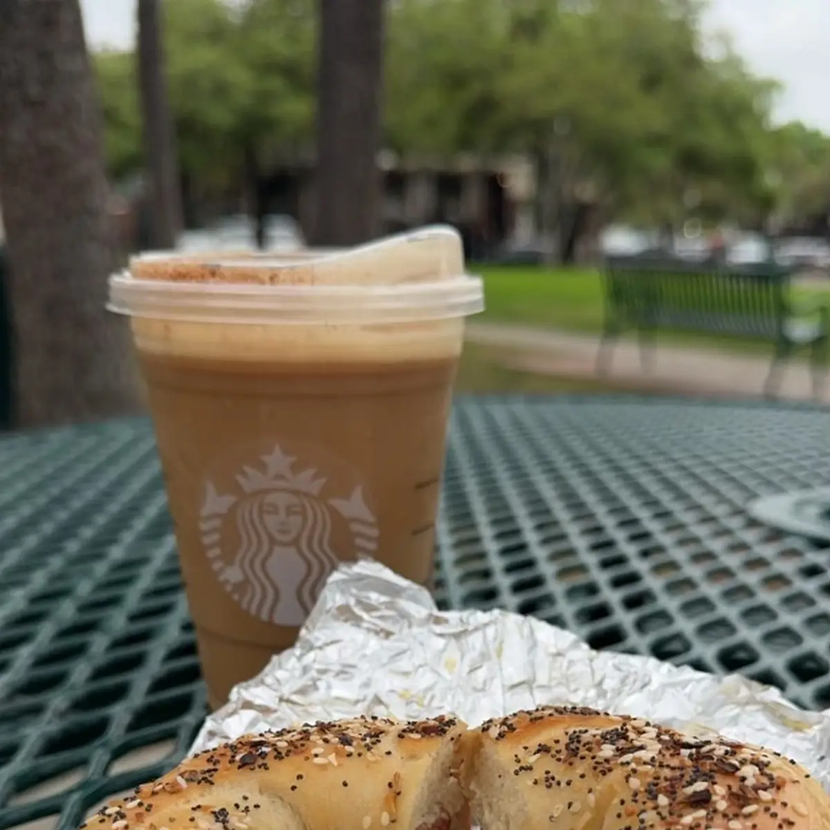 Everything Bagel Egg White Chive Cream Cheese