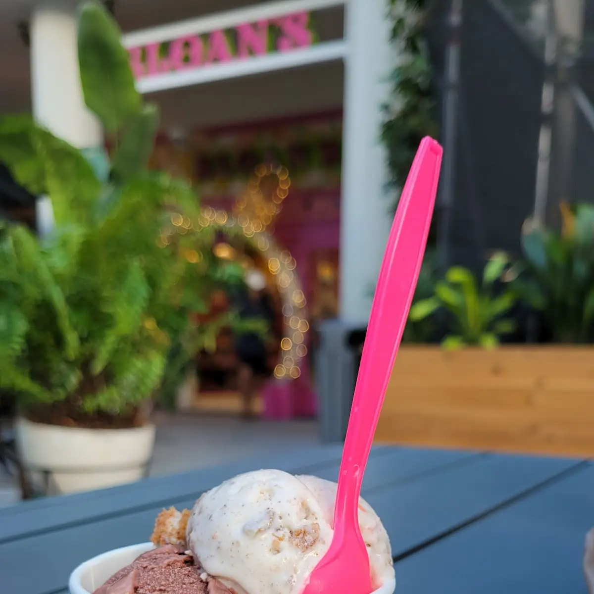 Carrot Cake & Dad's Milk Chocolate Ice Creams