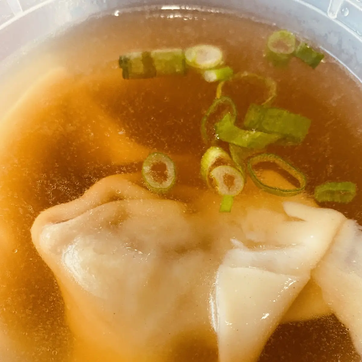 Wonton Soup L
