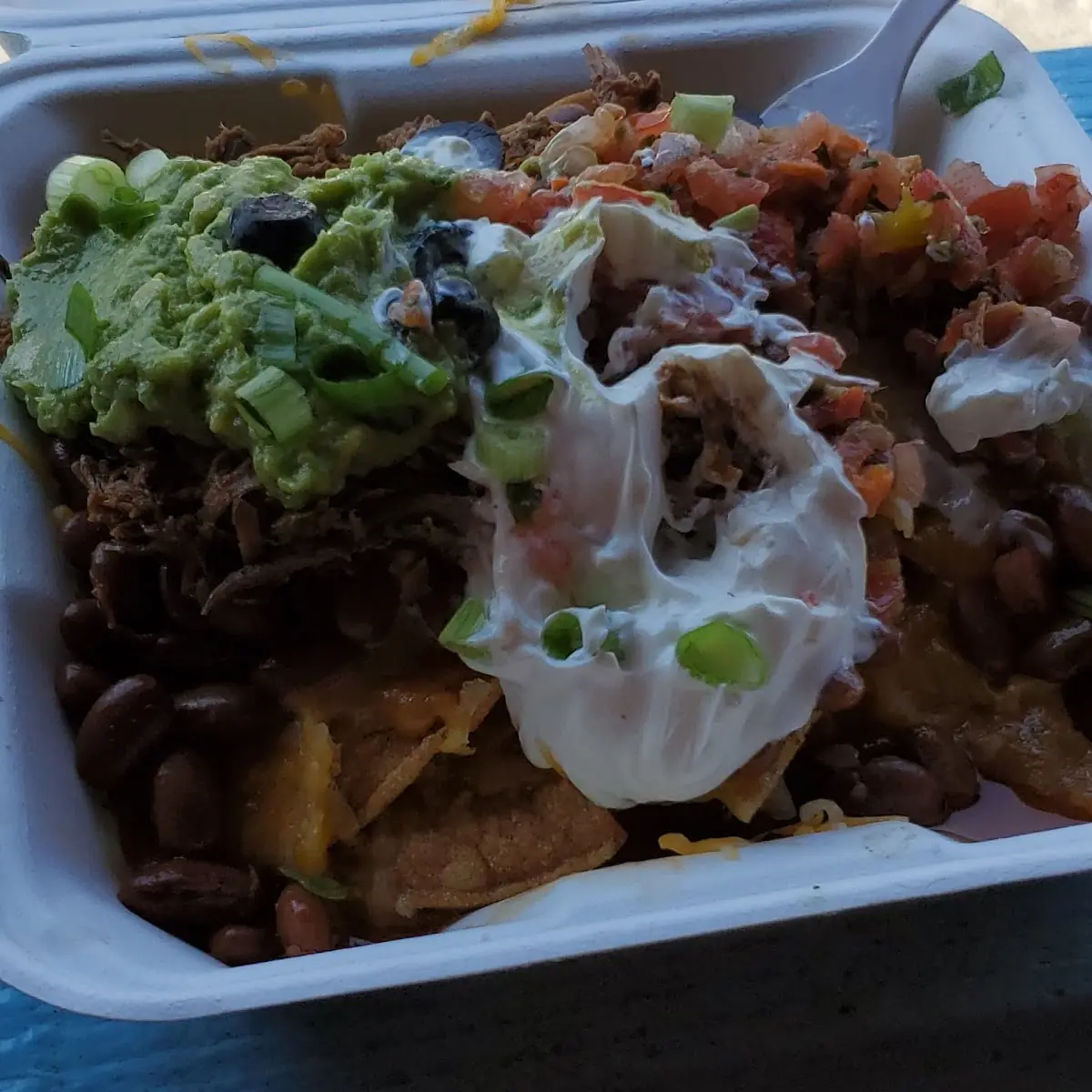 Carne Asada Fries