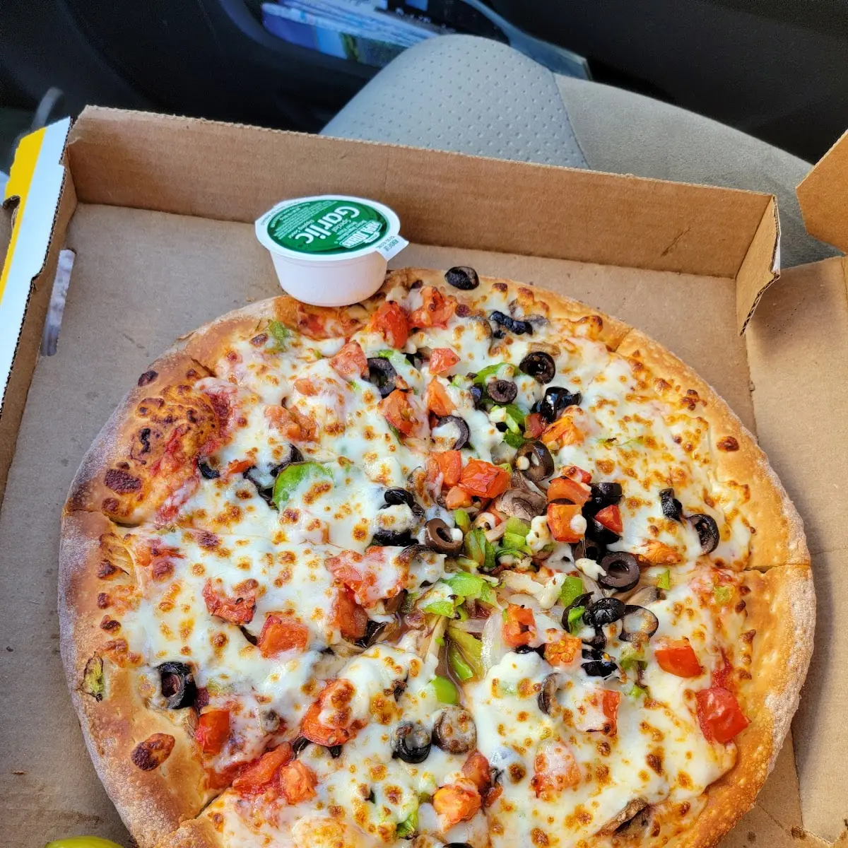 Sad and Skimpy Half Covered Veggie Pizza