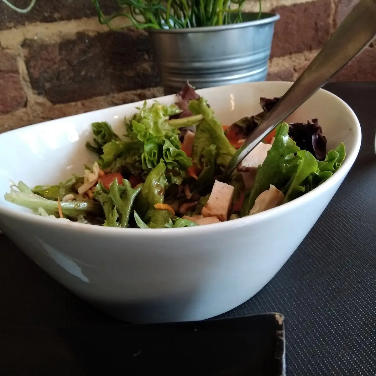 Grilled Chicken Salad