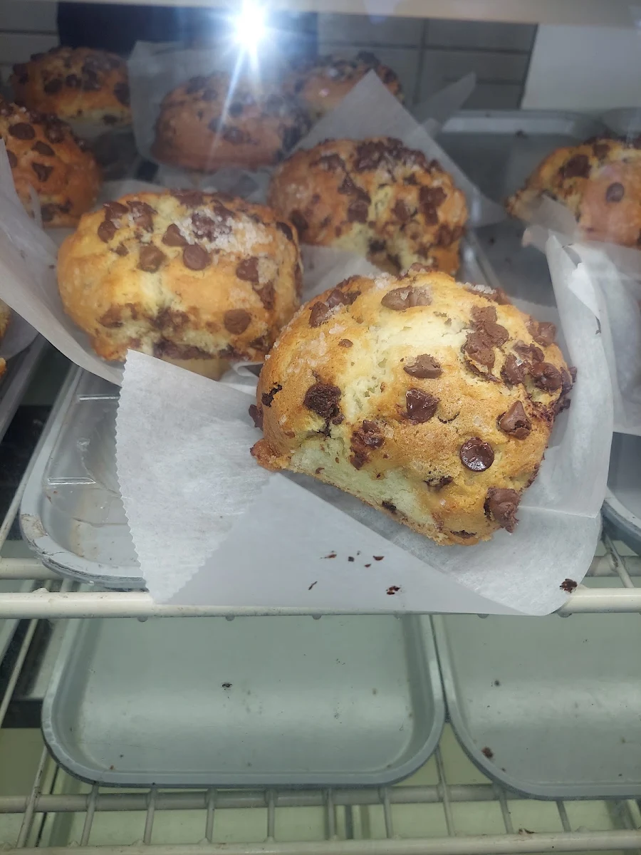 Chocolate Chip Muffin