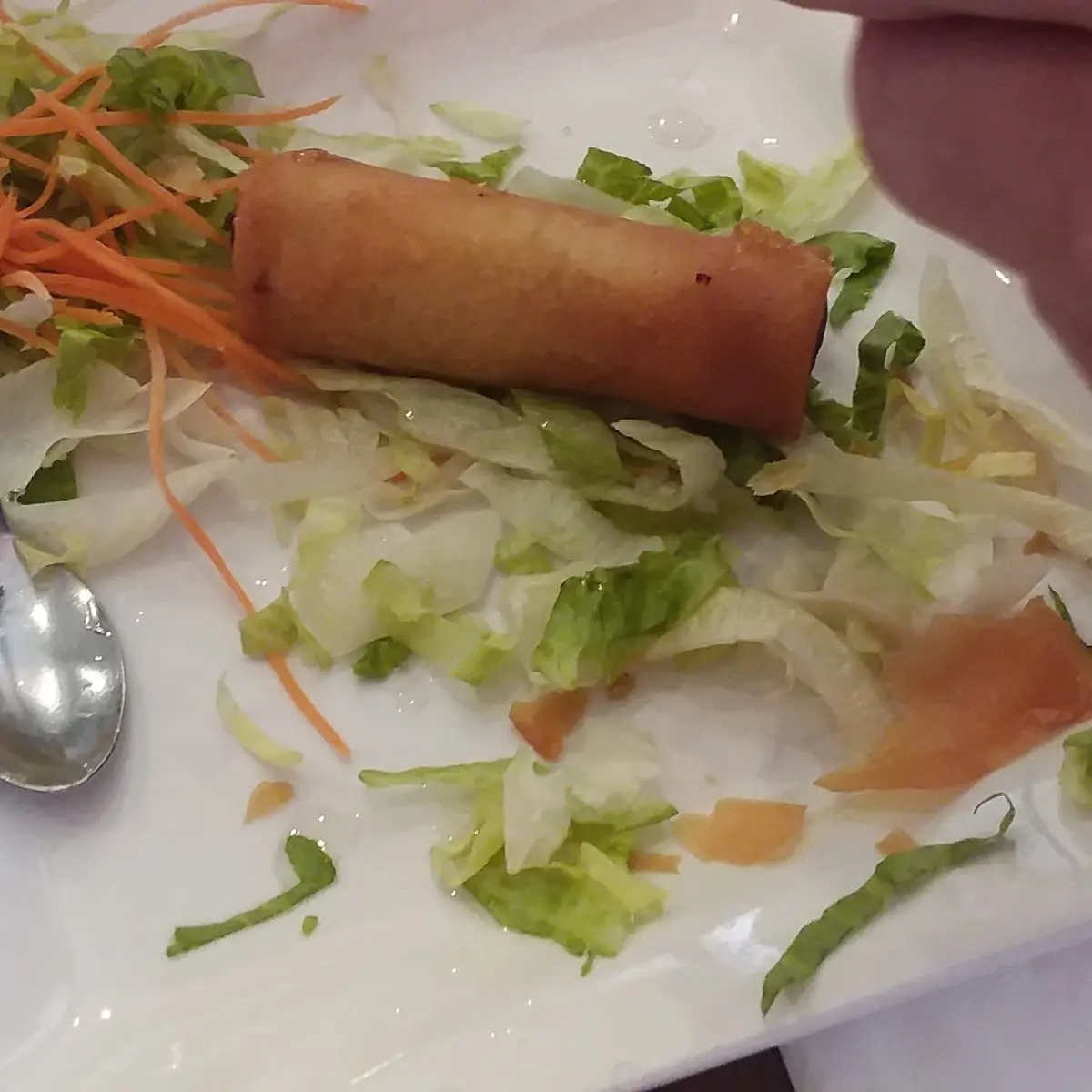 Spring Roll