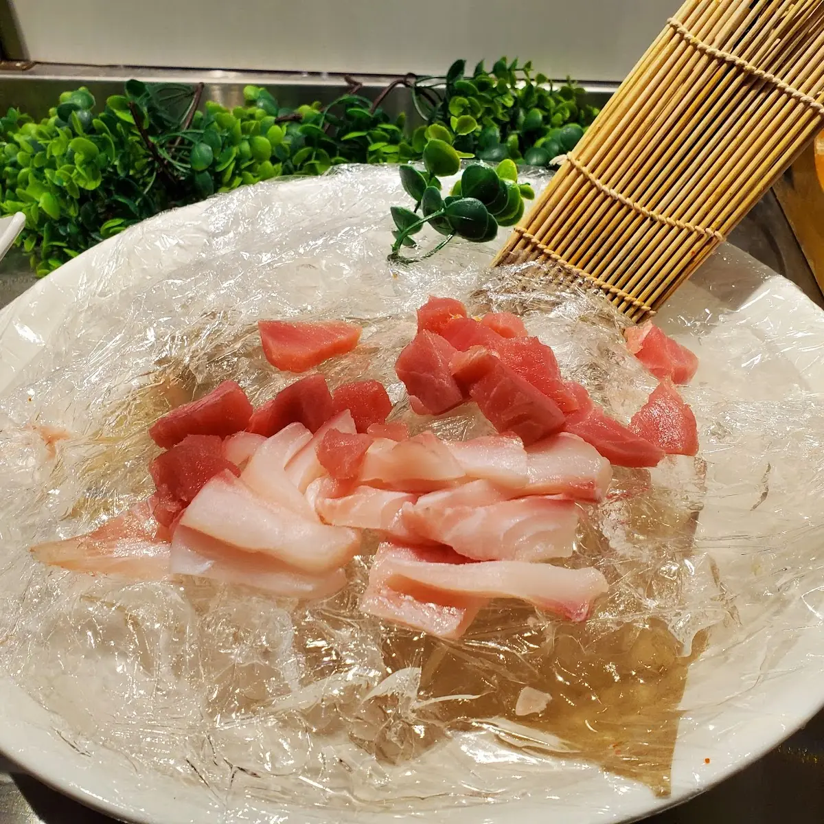 Sashimi