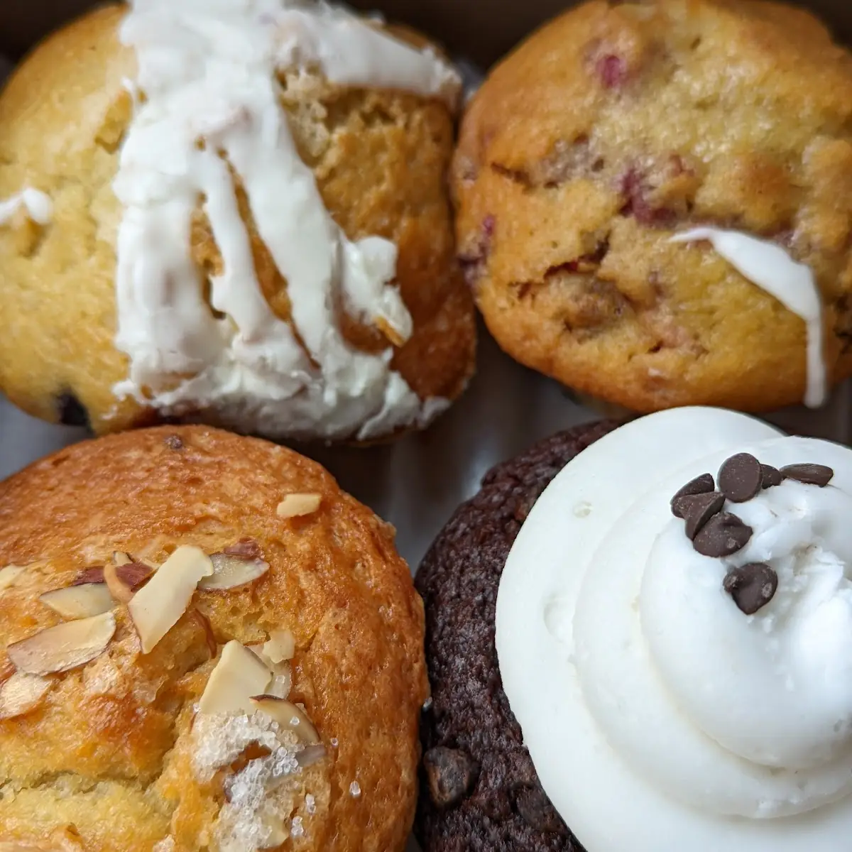Blueberry Muffins