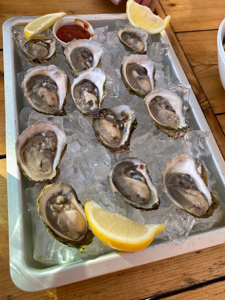 Oysters on the Half Shell