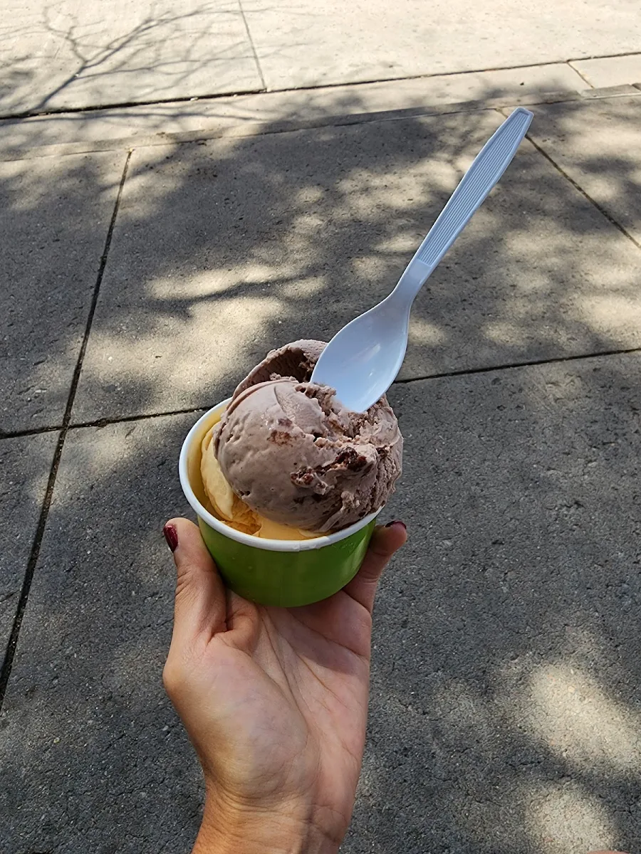 Chocolate Ice Cream