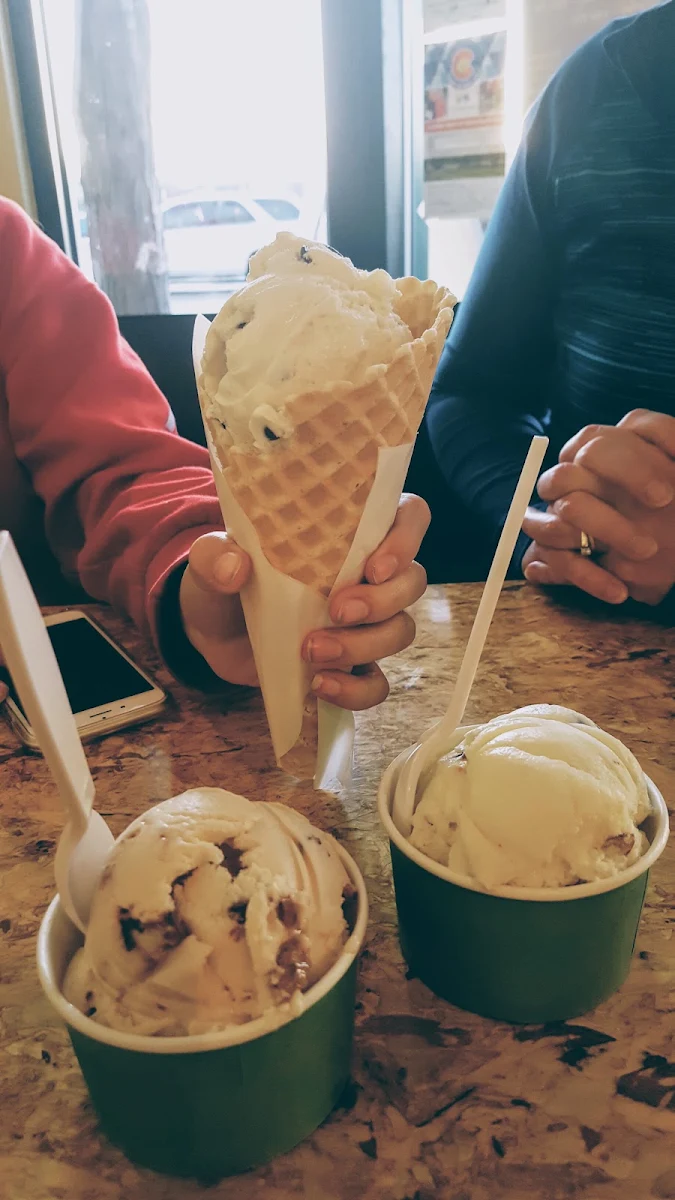 Mint Chocolate Chip Waffle Cone