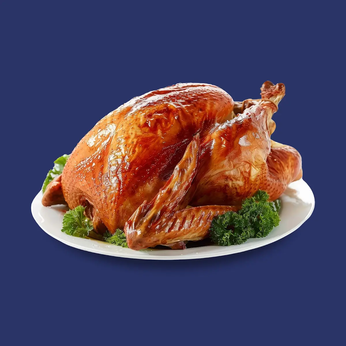 Oven Roasted Turkey