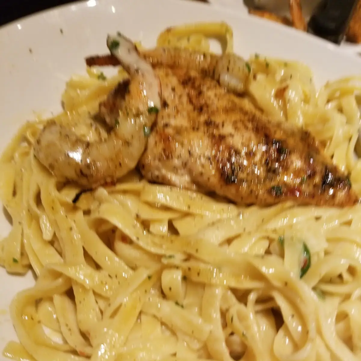 Shrimp Alfredo & Chicken Alfredo