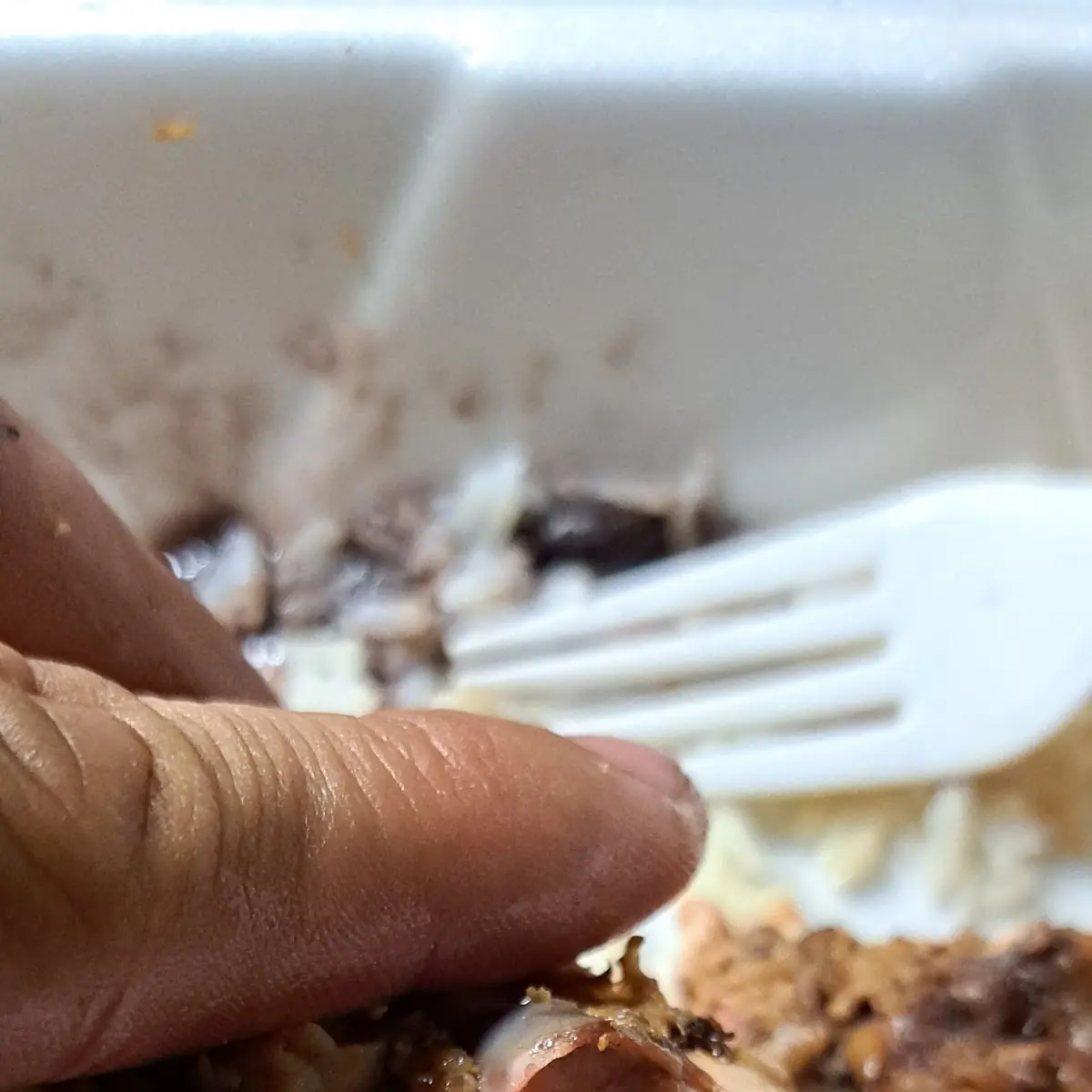 Pulled Pork