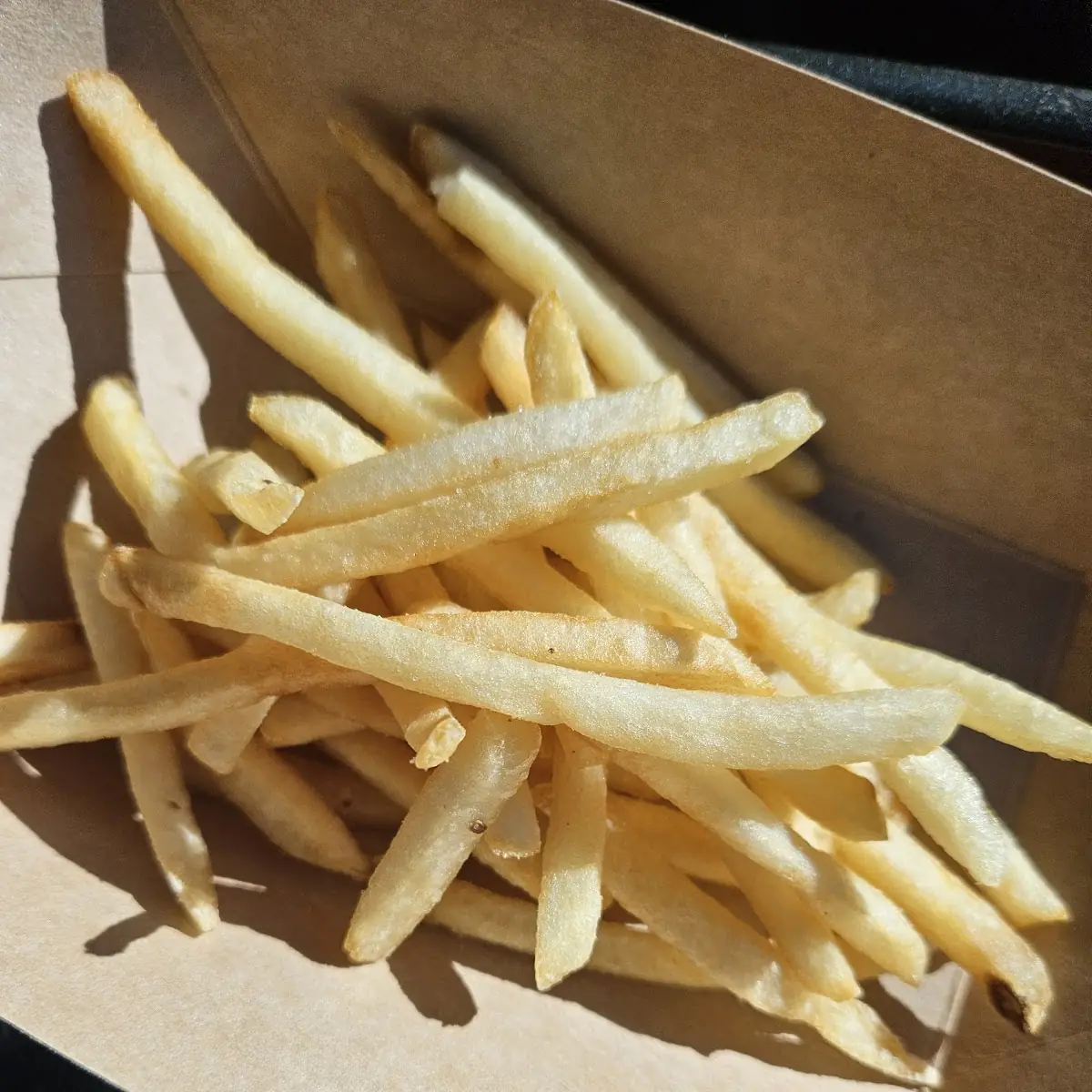 World Famous Fries