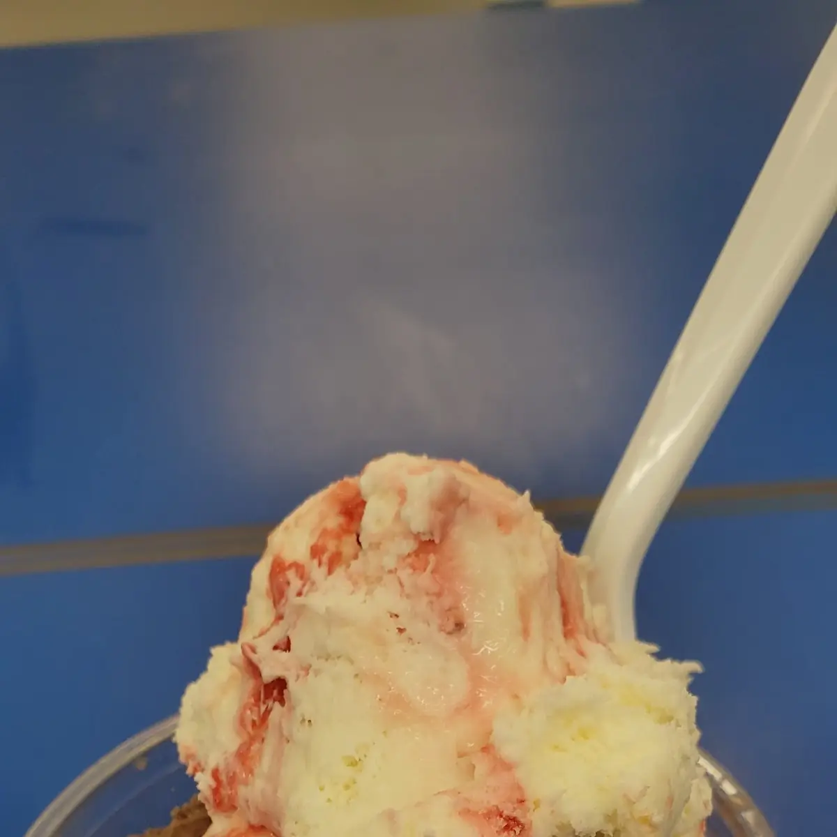 Strawberry Cheesecake and Chocolate