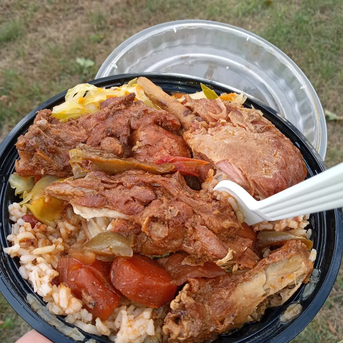 Brown Stew Chicken Don't Eat It Lol