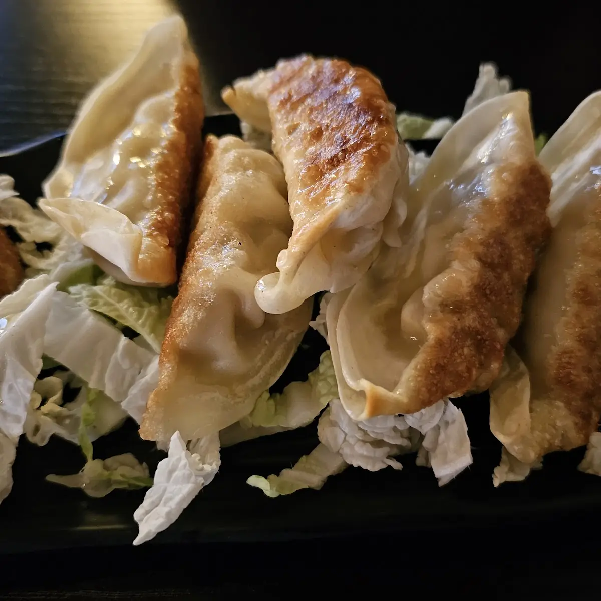 Gyoza