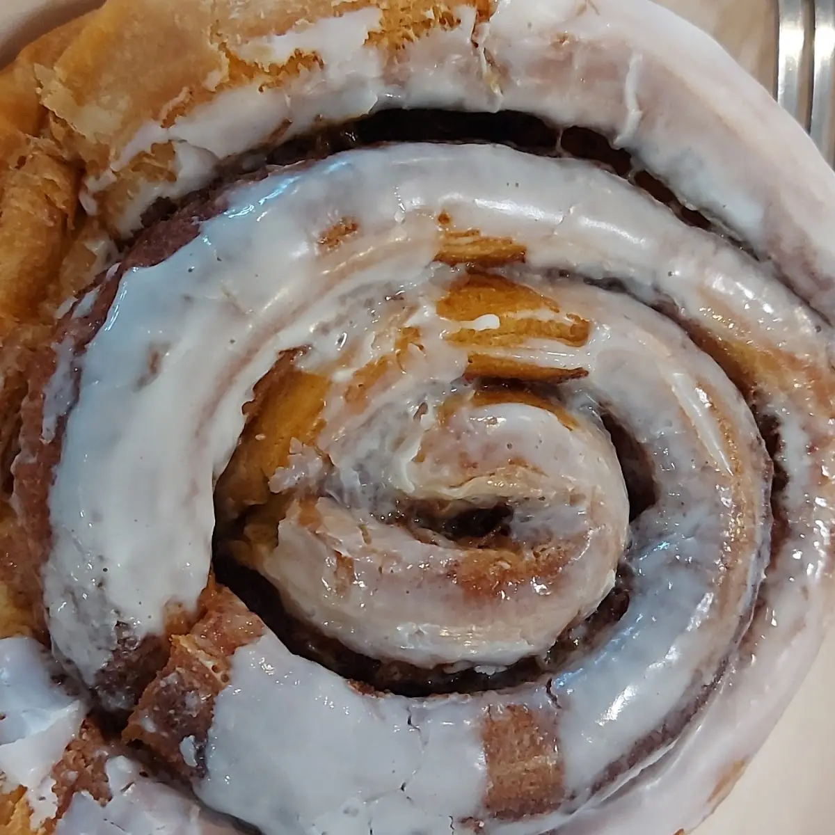 Cinnamon Roll