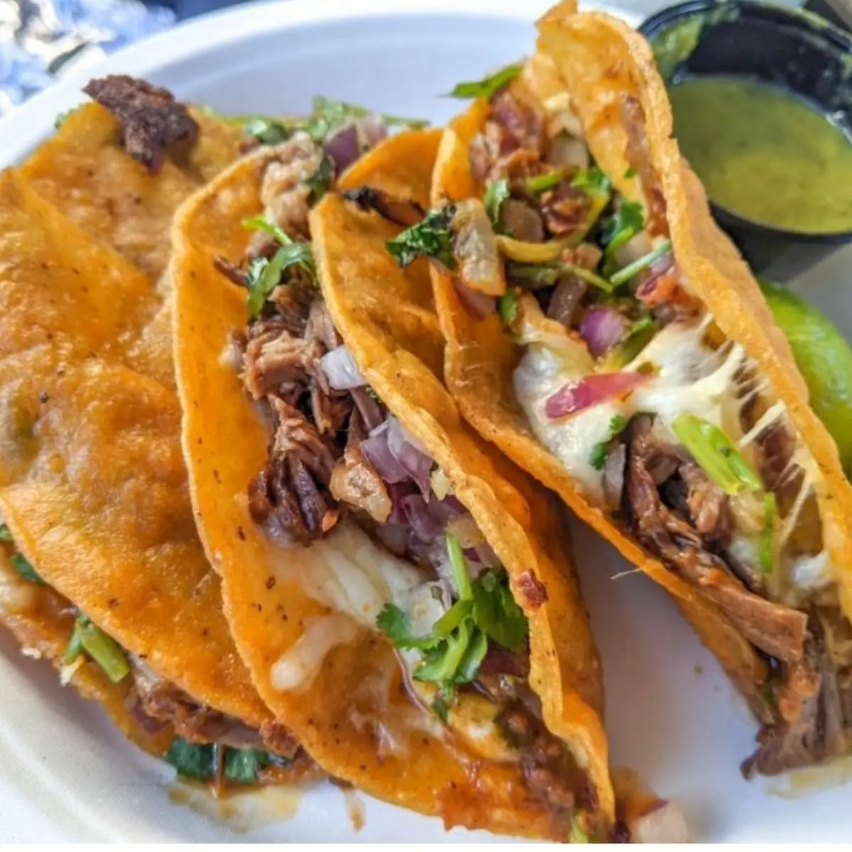 Taco de Birria Planchado / Pressed Birria Taco