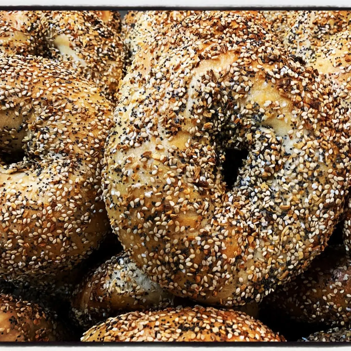 1 Dozen Bagels 15