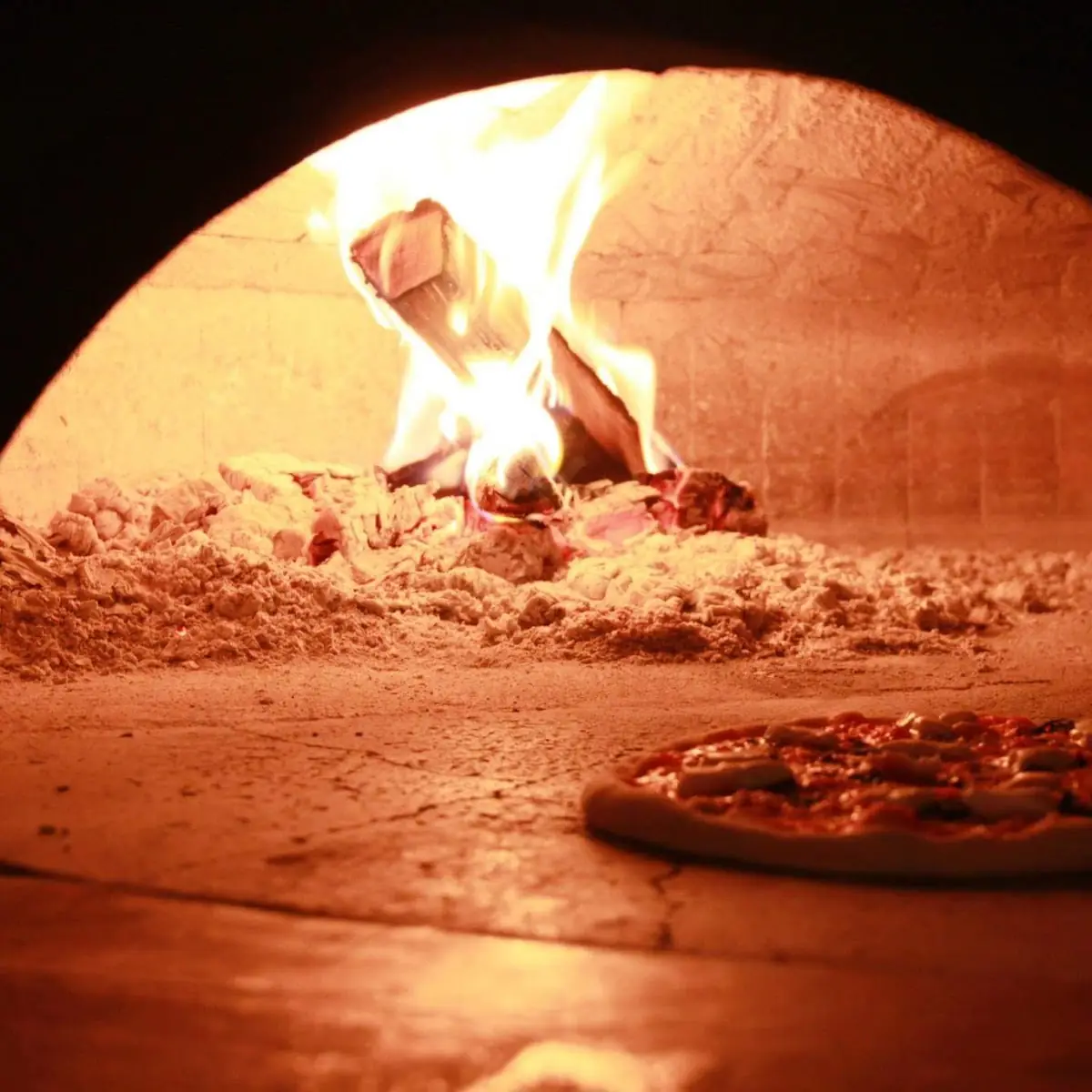 Wood Fired Pizza Margherita