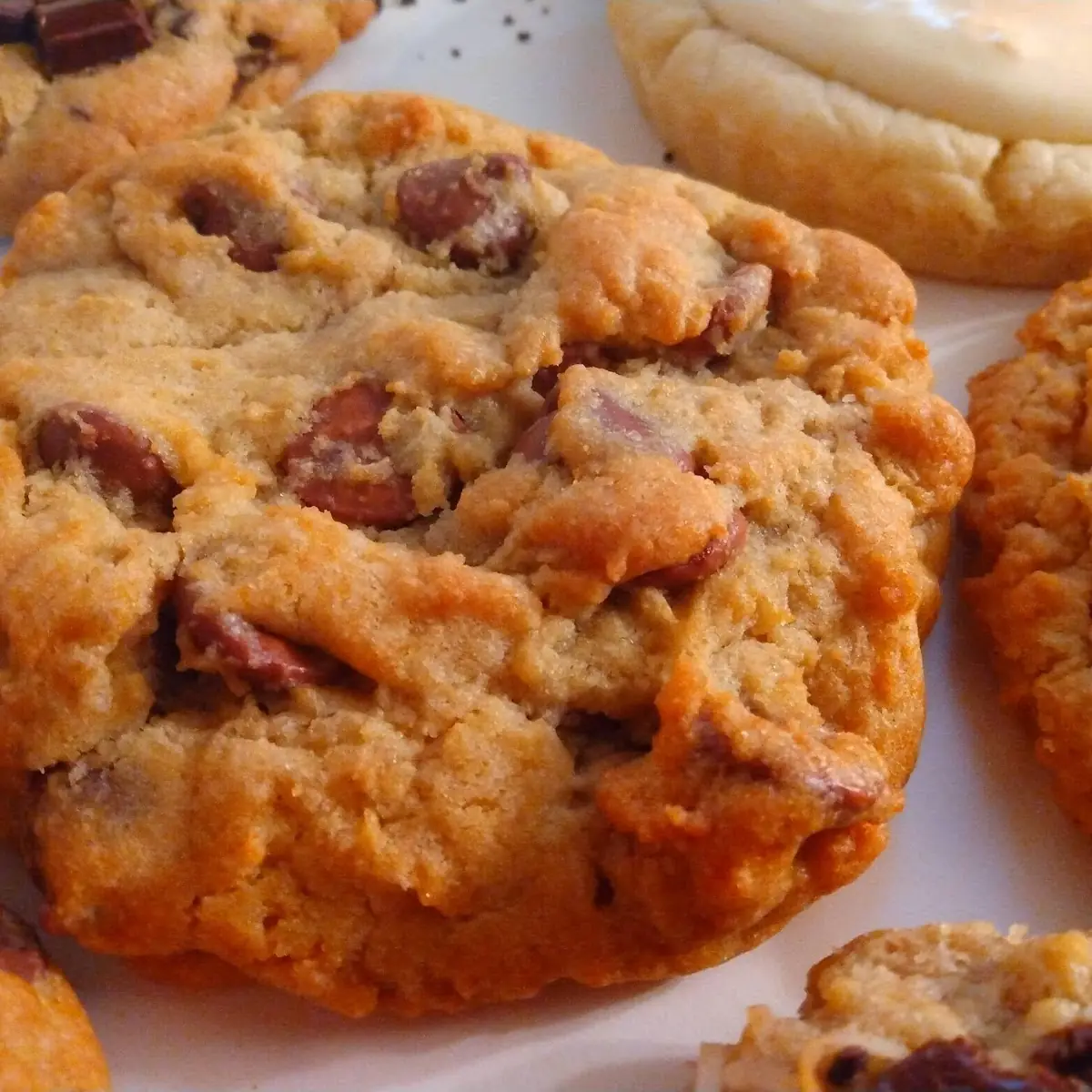 Milk Chocolate Chip Cookie