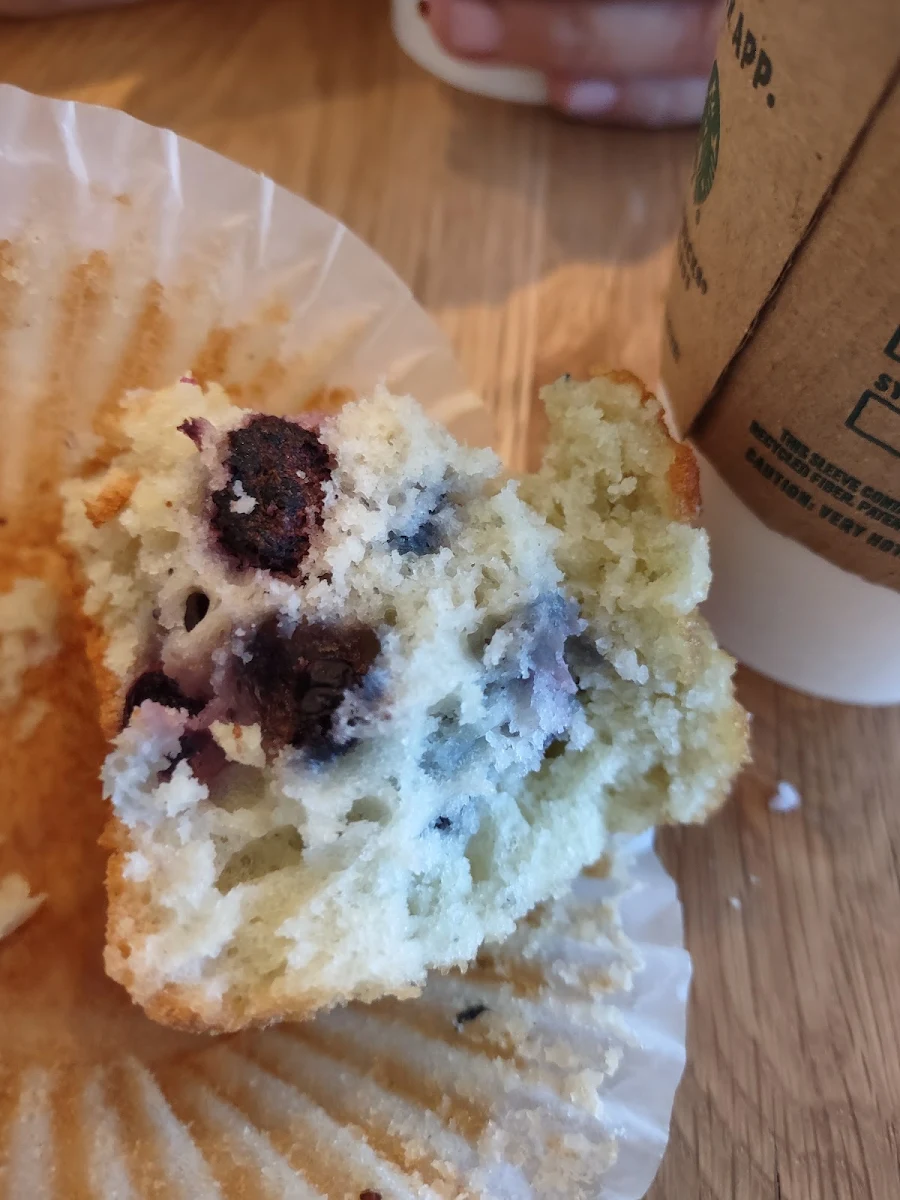 Blueberry Muffin
