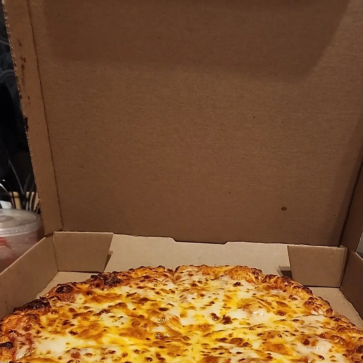 Extra Cheese Pizza