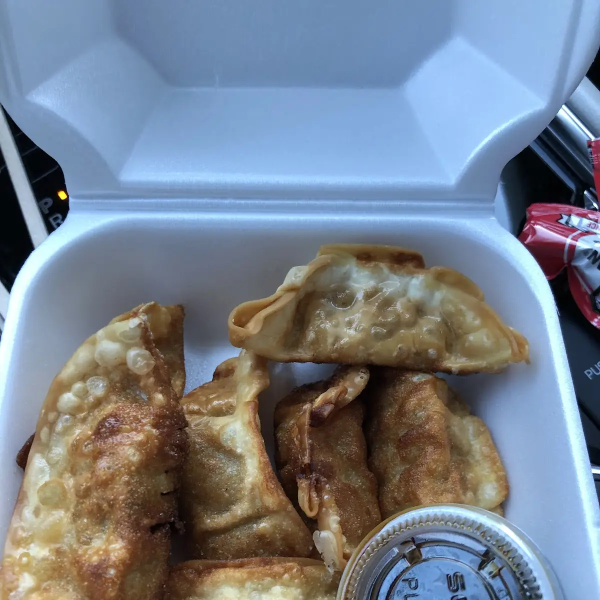 Pan Fried Pork Gyoza