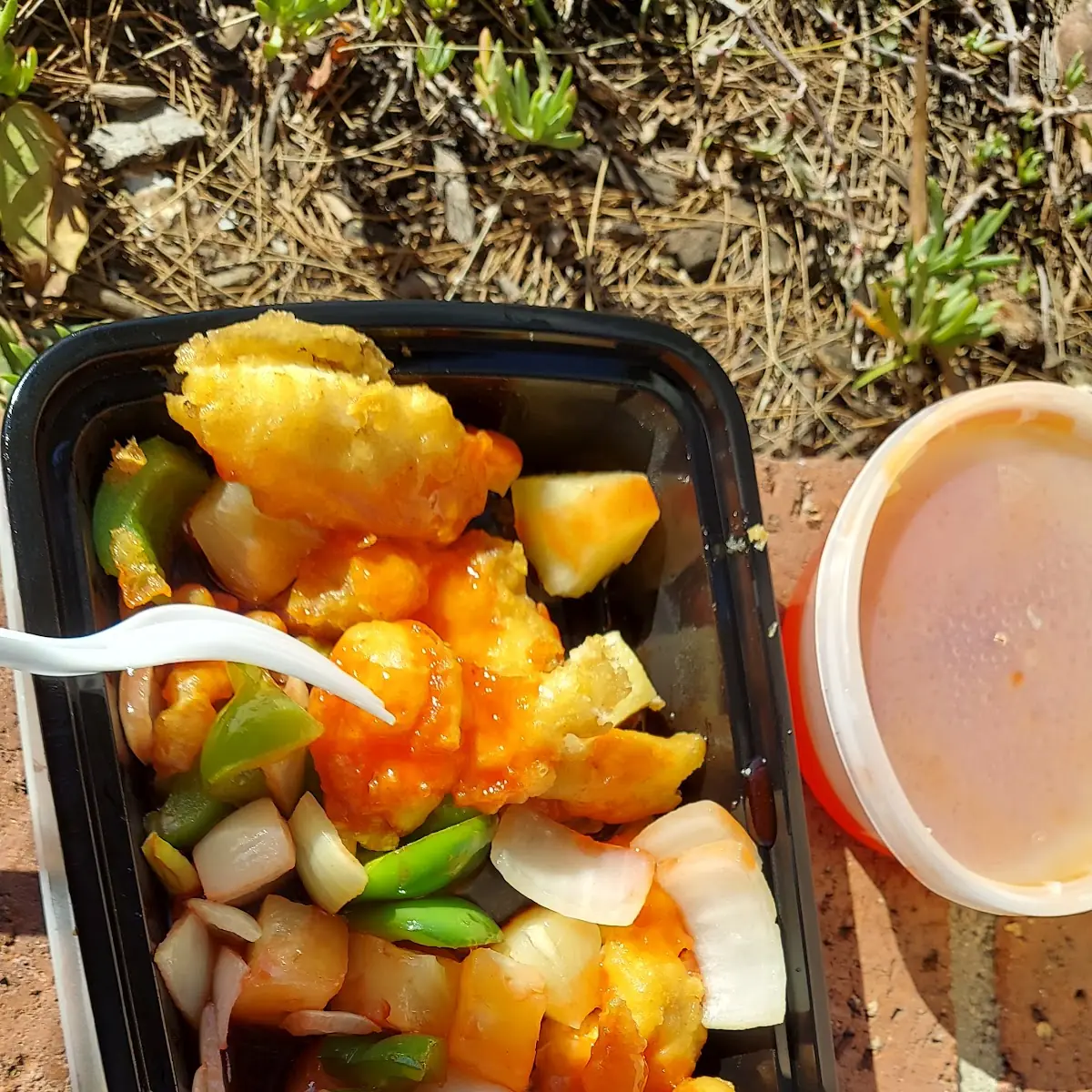 Sweet & Sour Chicken