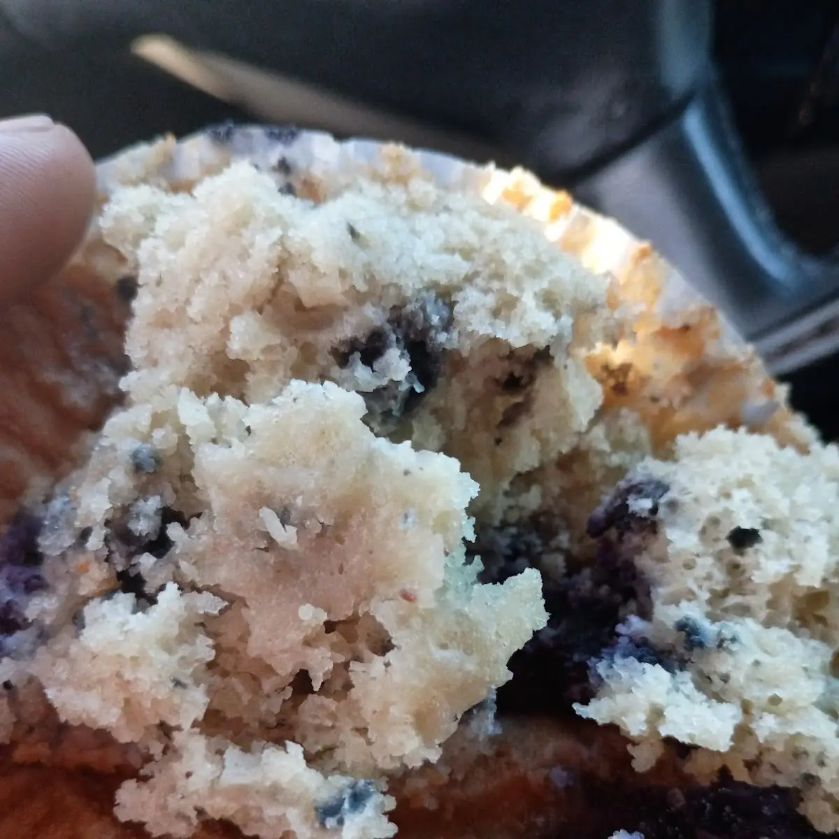Blueberry Muffin