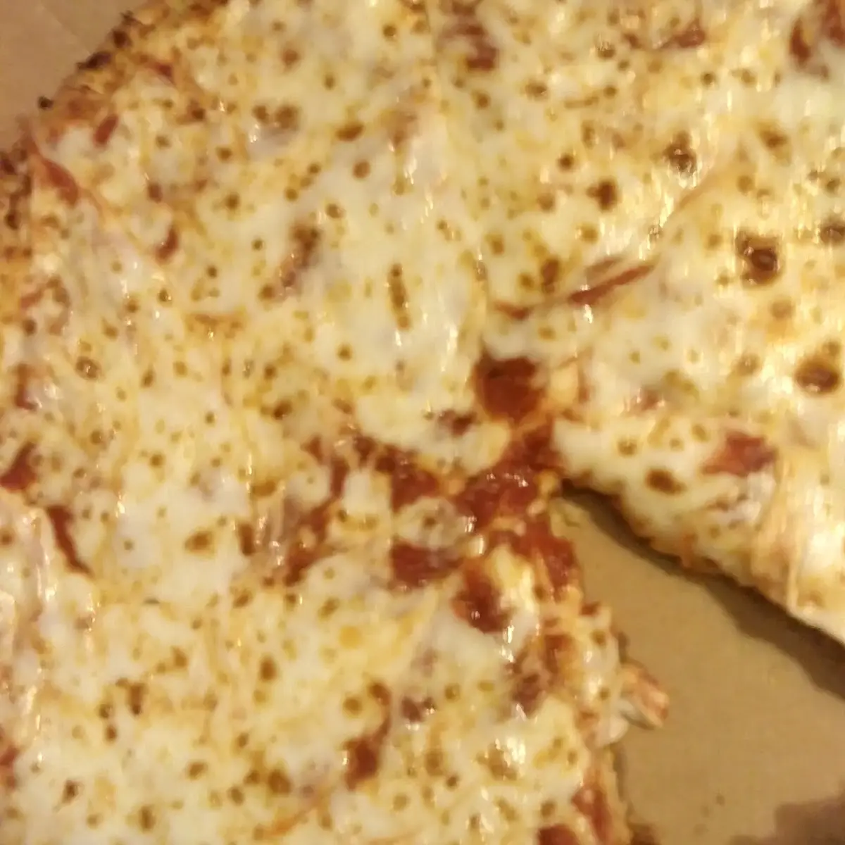 Cheese Pizza with Extra Cheese and Extra Sauce