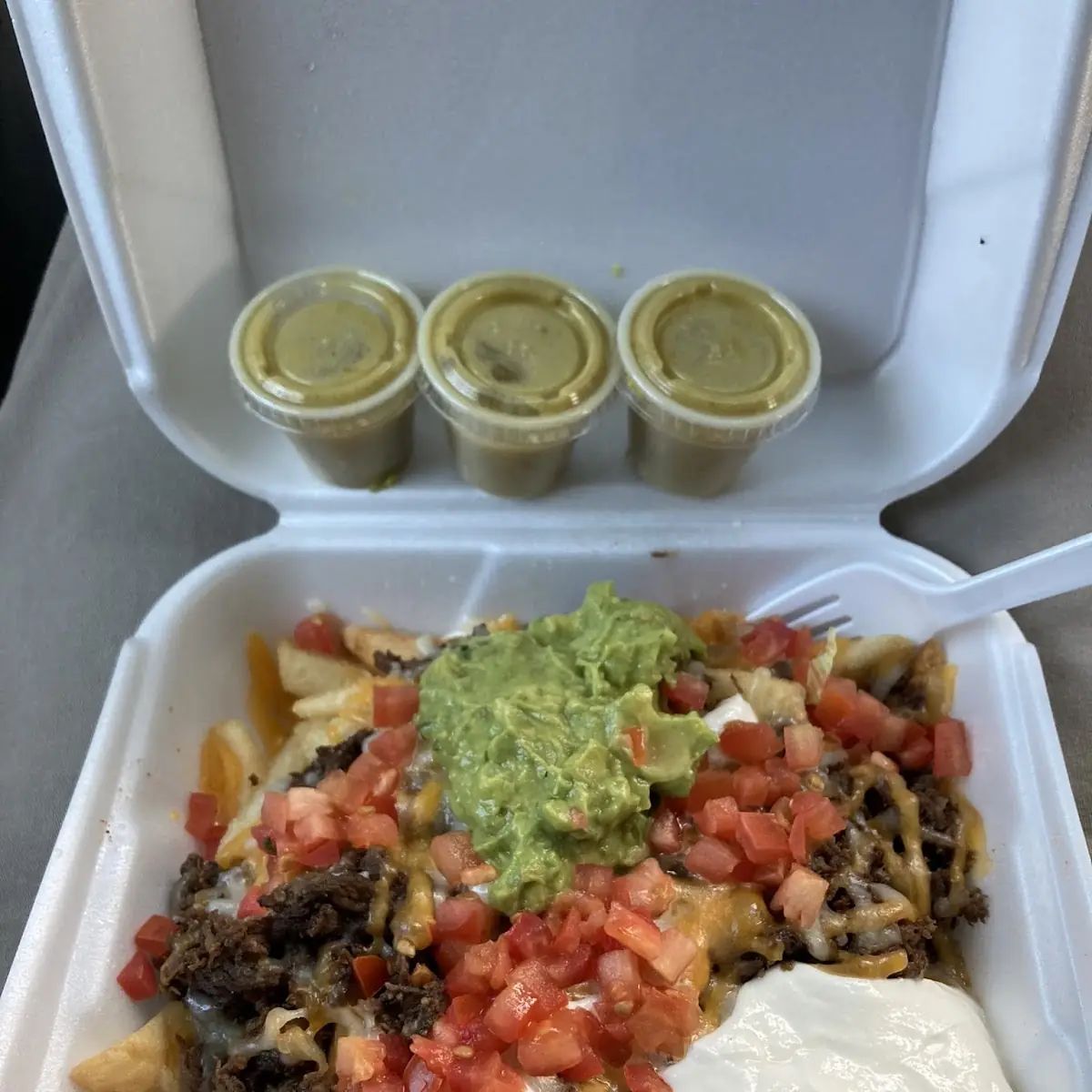 Carne Asada Fries
